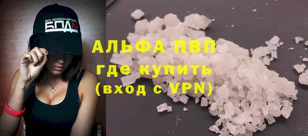 молекула духа Няндома