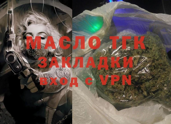 индика Осташков