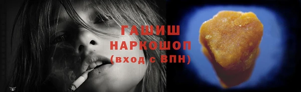 индика Осташков