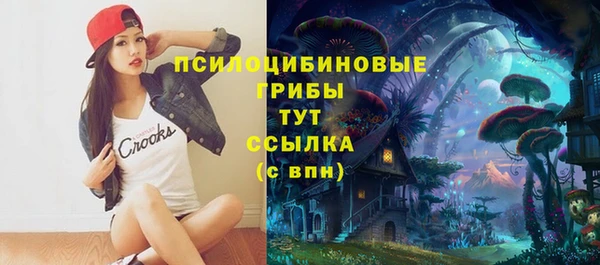 mdpv Нягань