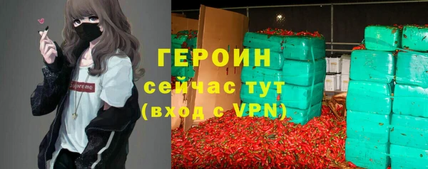 индика Осташков