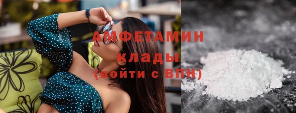 молекула духа Няндома