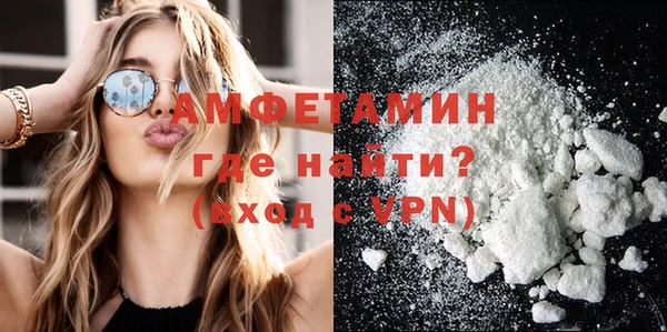 индика Осташков