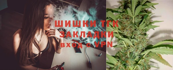 молекула духа Няндома